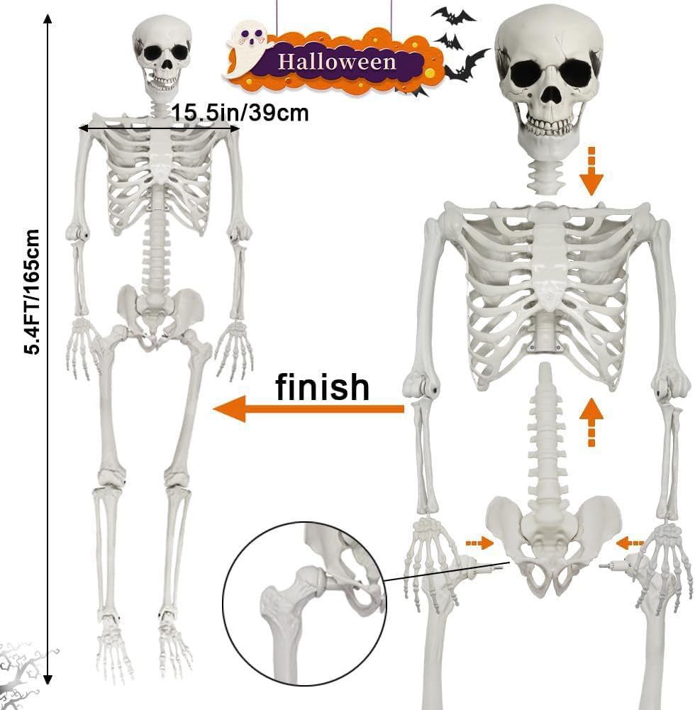 Full Size Poseable Plastic Skeleton E424061