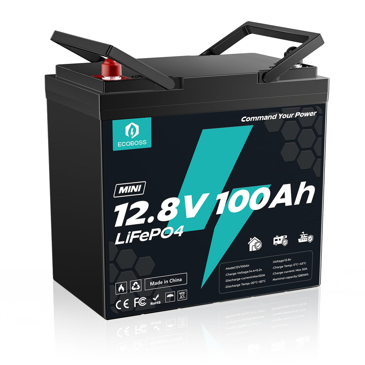 12V 100Ah LiFePO4 Battery Q39754