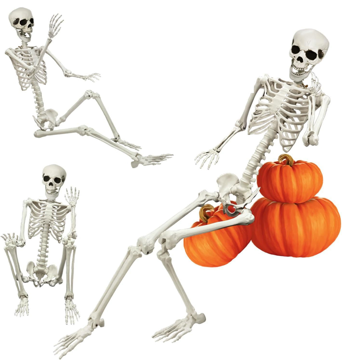 Full Size Poseable Plastic Skeleton E424061