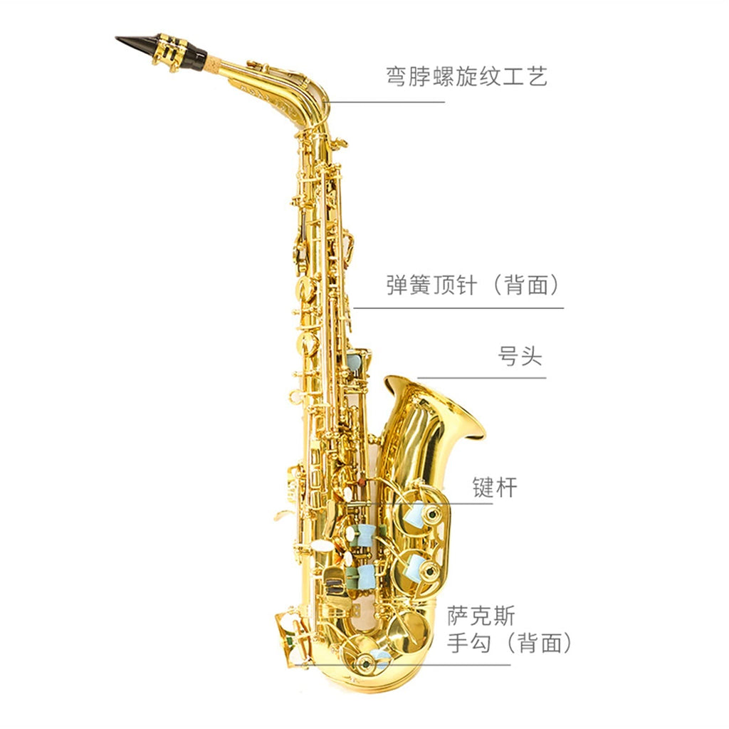 E Flat Alto Saxophone F3414