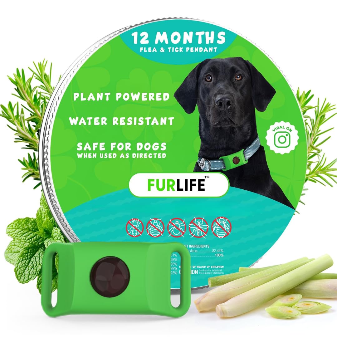 Green Dog Tag A6685