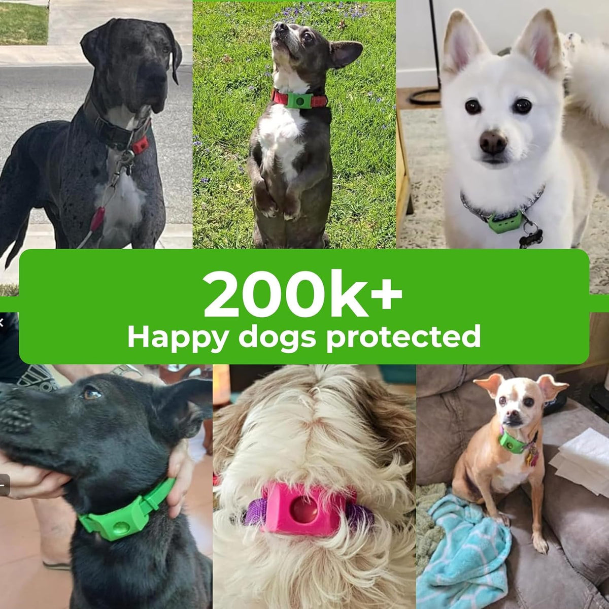 Green Dog Tag A6685
