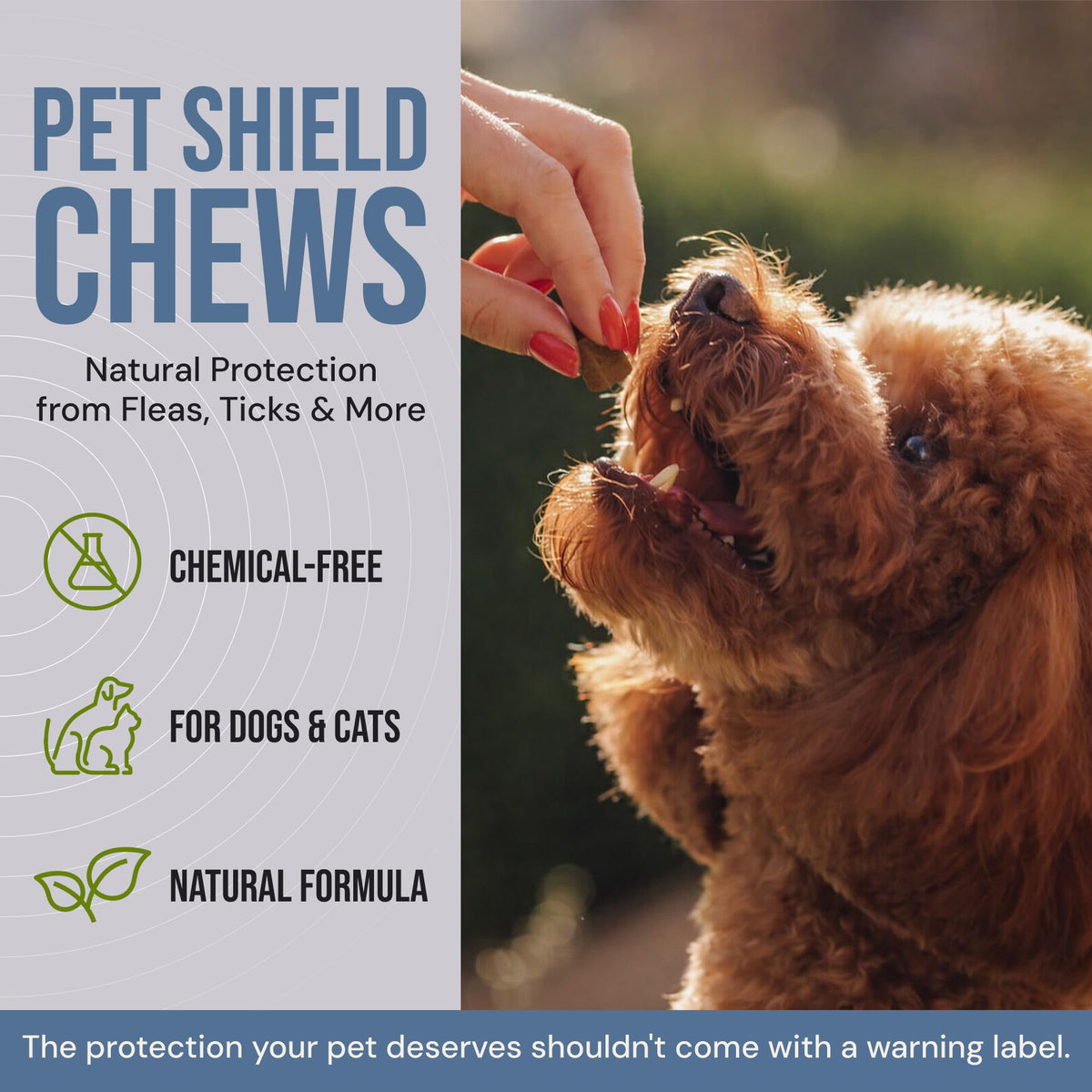 Natural Flea & Tick Prevention Soft Chews U17085