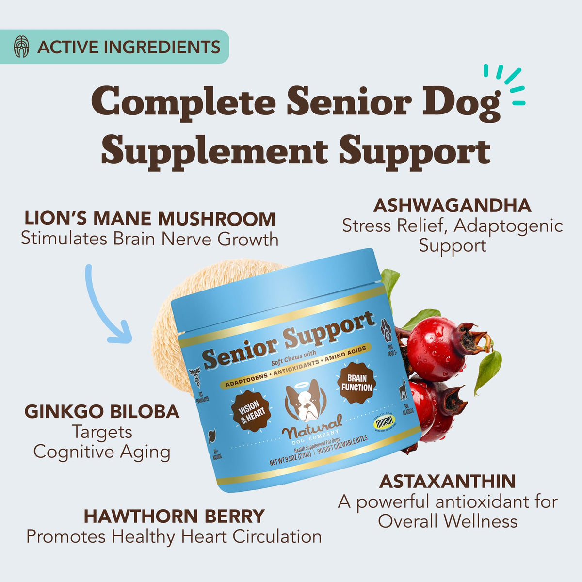 Senior Dog Supplements Vitamins Chew 90 cnt V326861