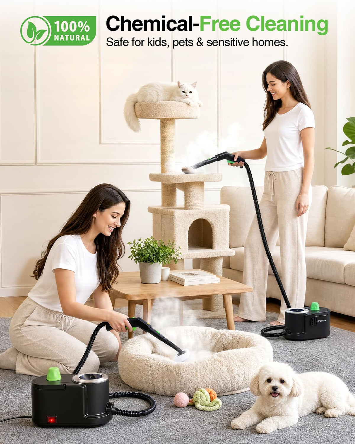 High Pressure Steam Cleaner L8555