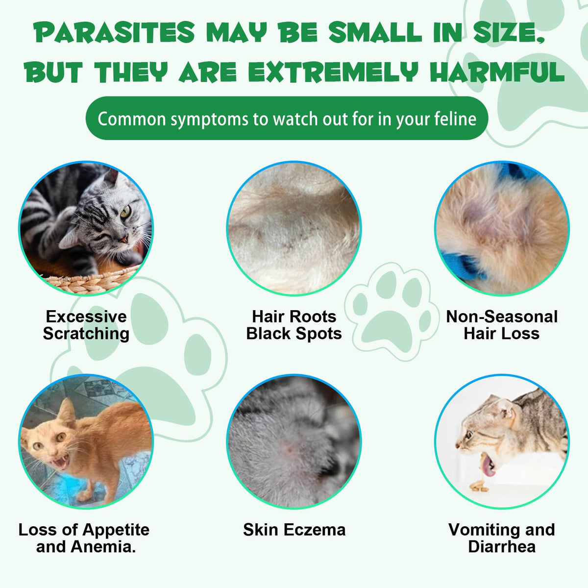 Probiotic Digestive Support for Cats R2757