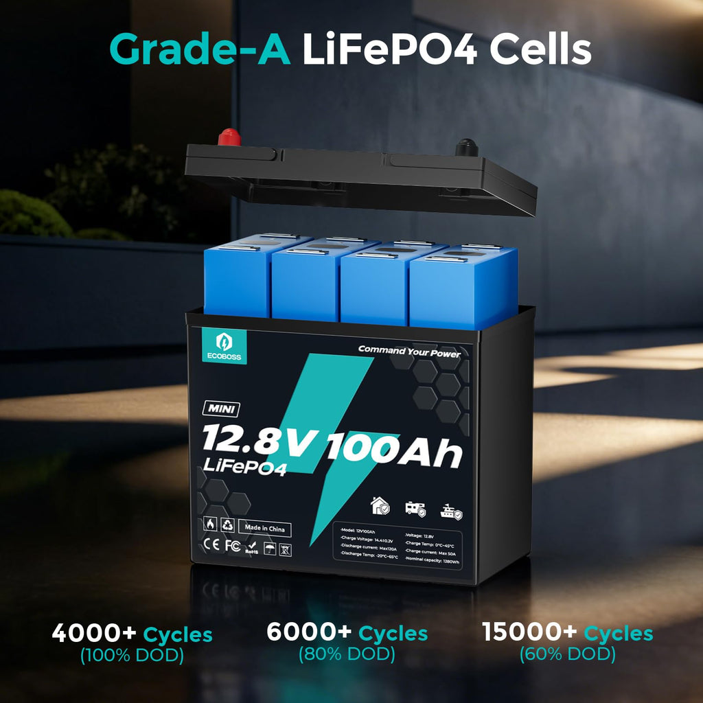 12V 100Ah LiFePO4 Battery Q39754