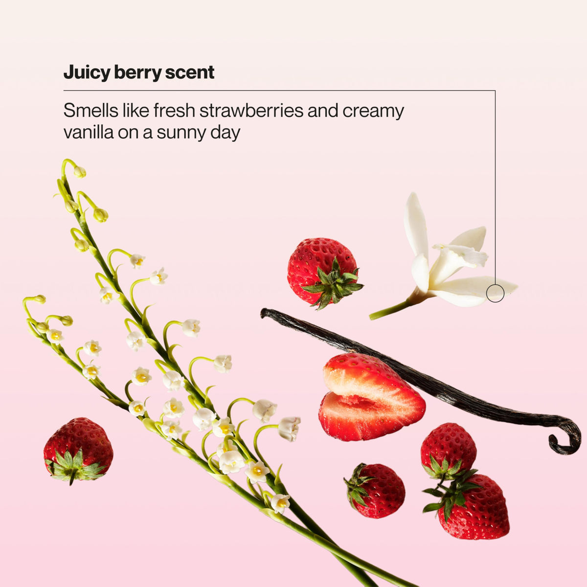 Berry Awesome Detangler Spray 10 oz Pack of 6 H4348