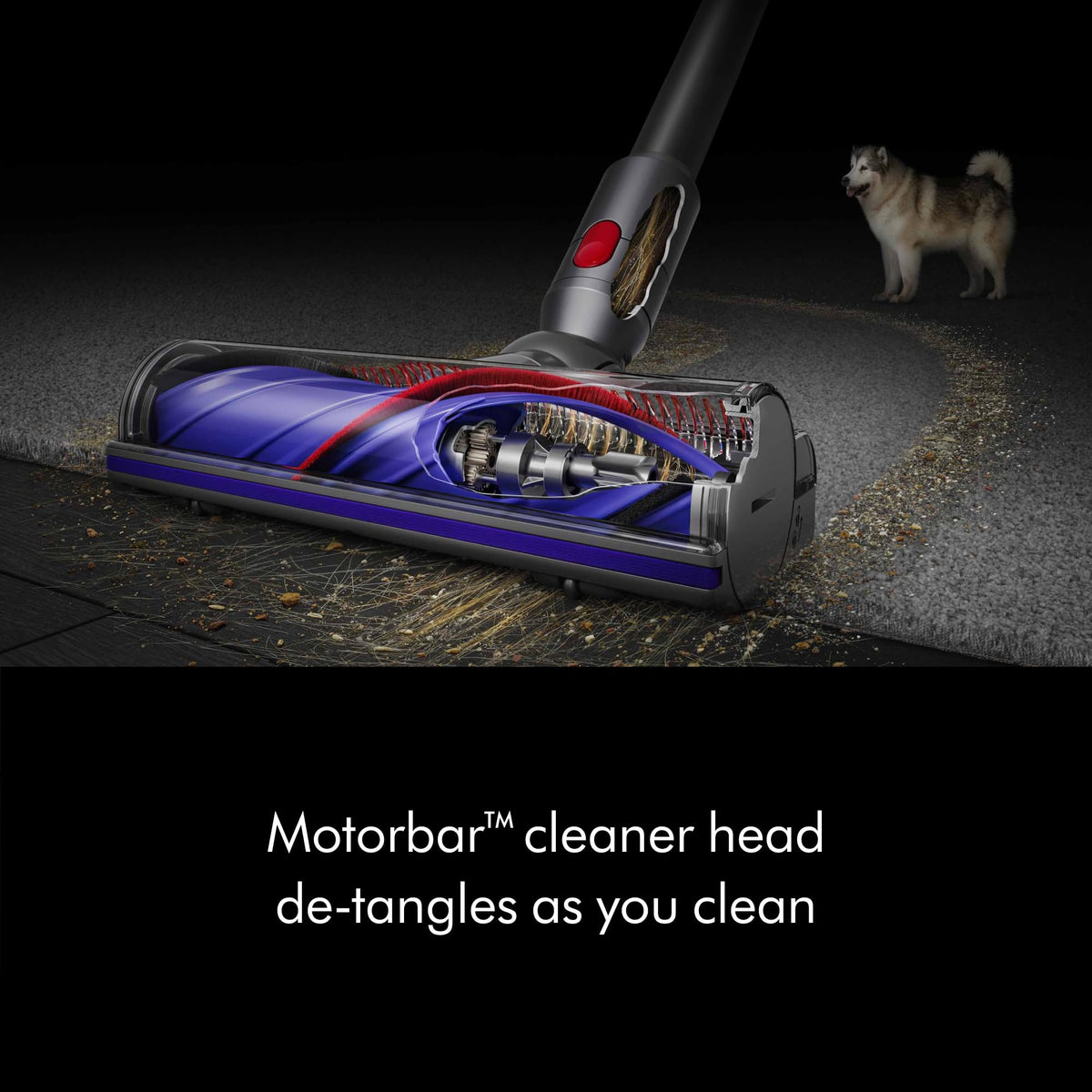 Cordless Vacuum, 115AW, 2 Power Modes B570