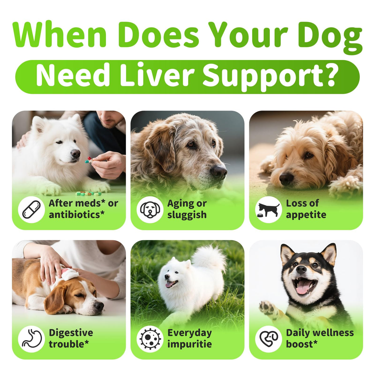 Dog Liver Support Chews with Milk Thistle F659371