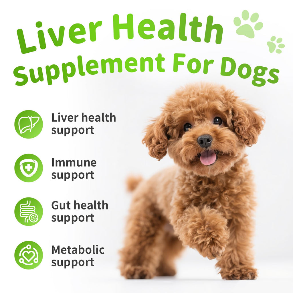 Dog Liver Support Chews with Milk Thistle F659371