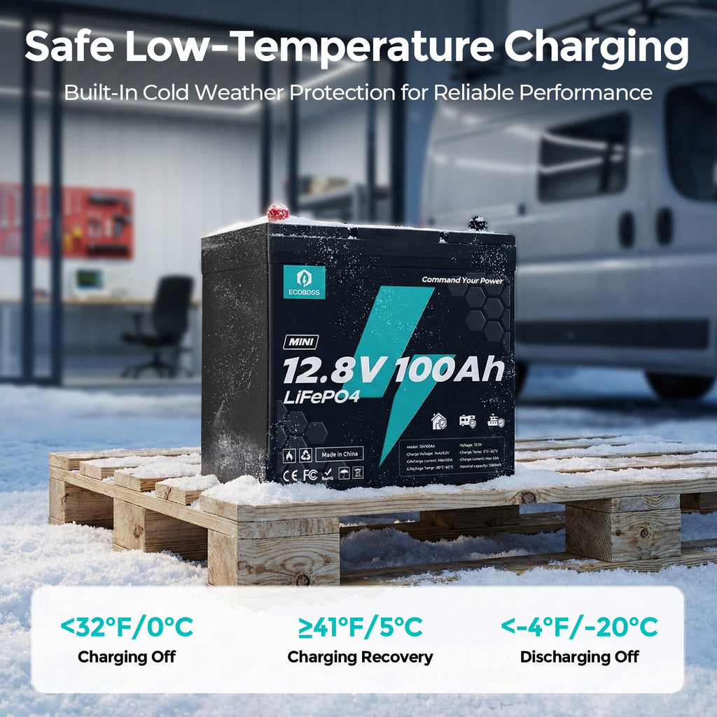 12V 100Ah LiFePO4 Battery Q39754