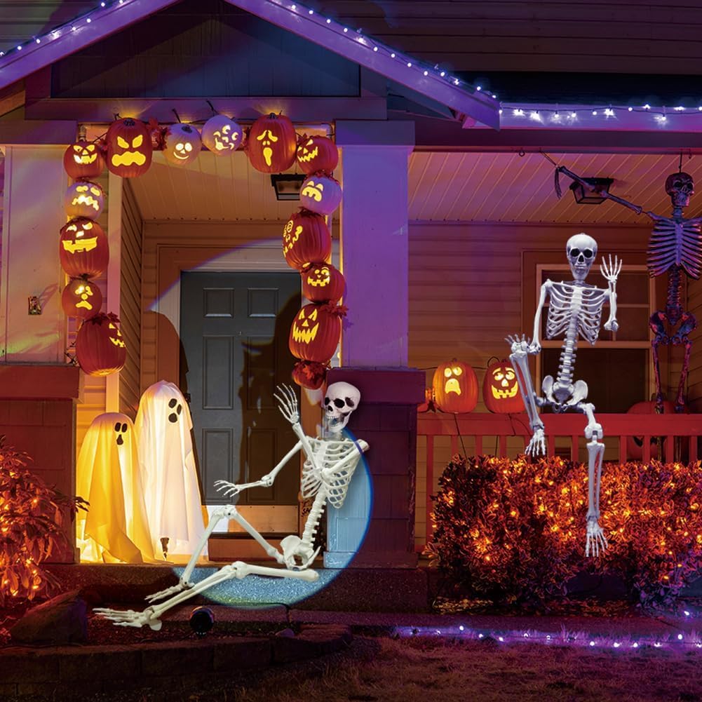 Full Size Poseable Plastic Skeleton E424061