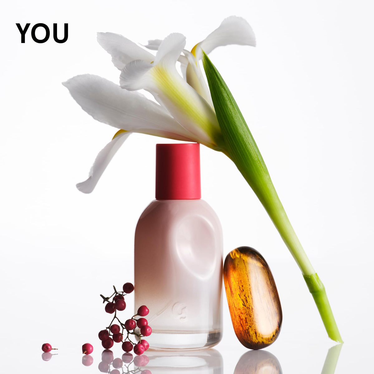 Fragrance Set Y635