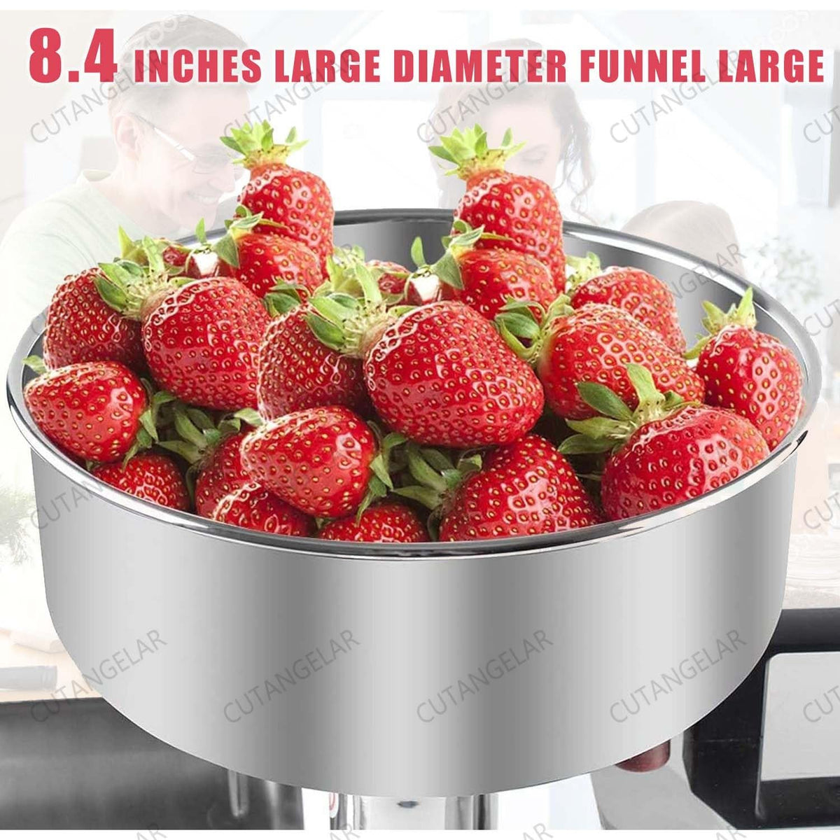450W Large Capacity Stainless Steel Jam Machine I2698