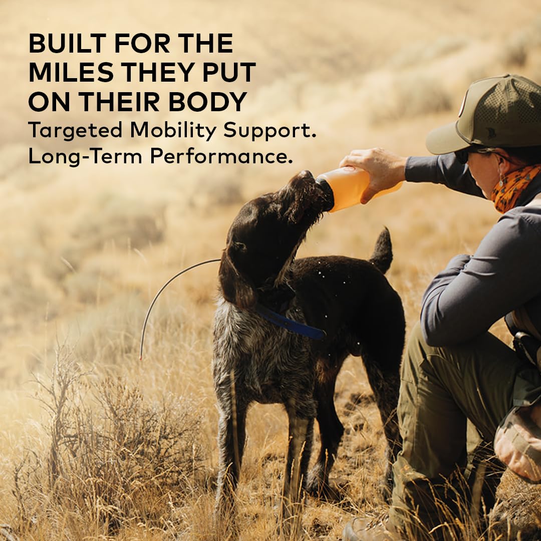 Beef Bone Broth Concentrate for Dogs, 16 oz V35802