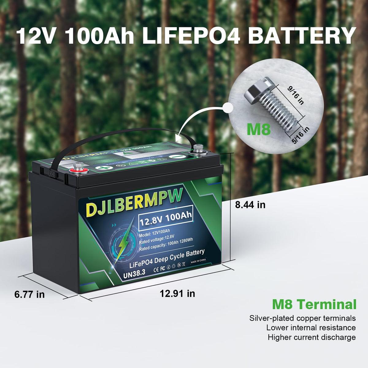 12V 100Ah LiFePO4 Lithium Battery S383710