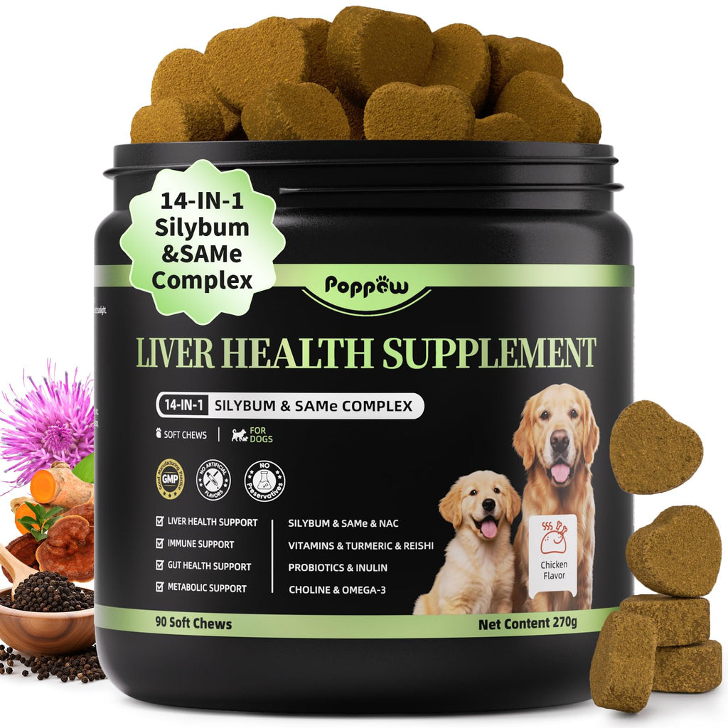 Dog Liver Support Chews with Milk Thistle F659371