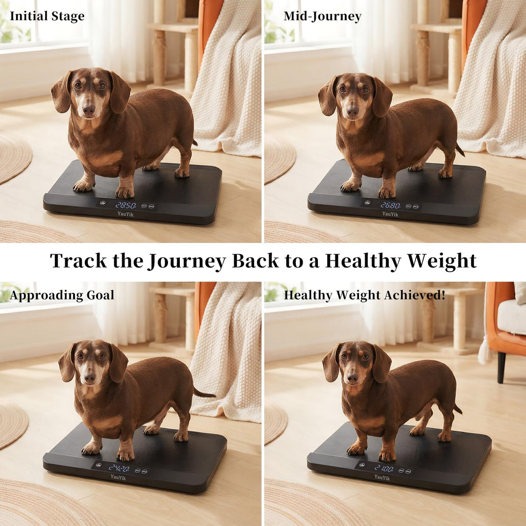 Digital Pet Scale with Non-Slip Mat, Up to 88lb, Black H510