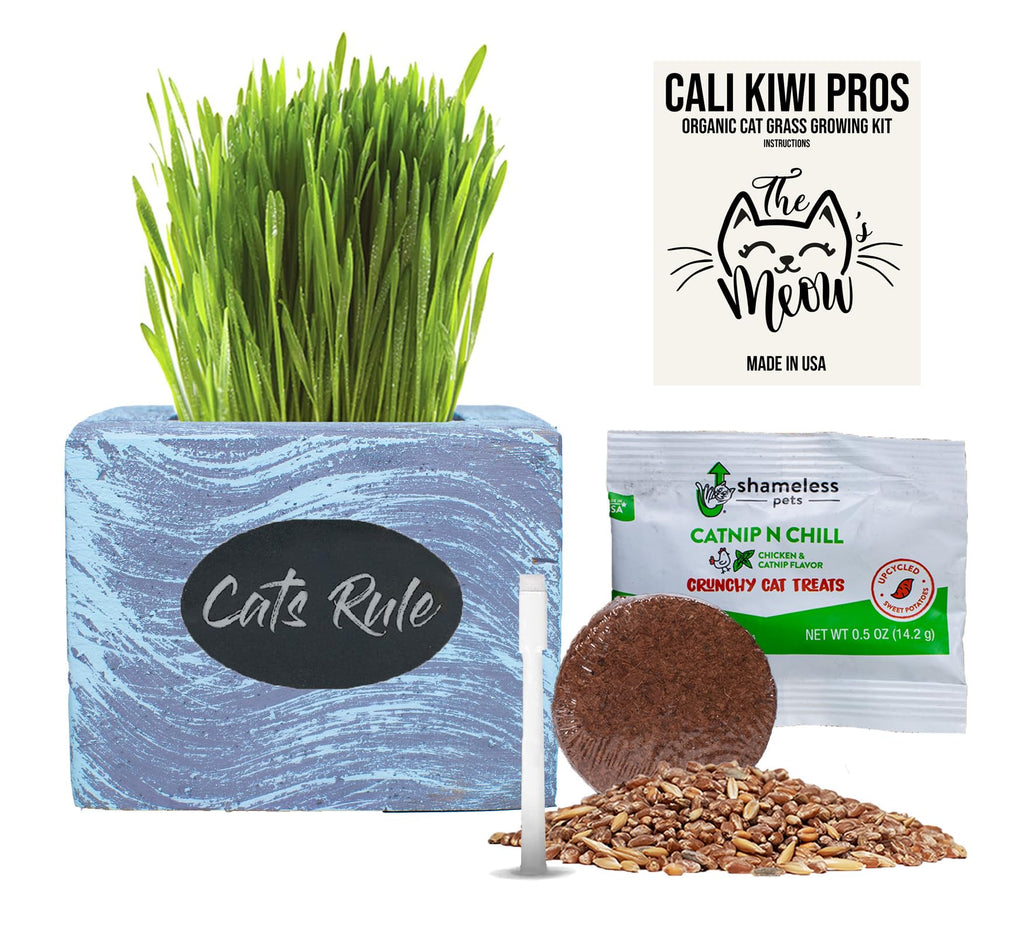 Organic Wheatgrass Seed & Soil Cat Grass Kit T709039