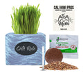 Organic Wheatgrass Seed & Soil Cat Grass Kit T709039