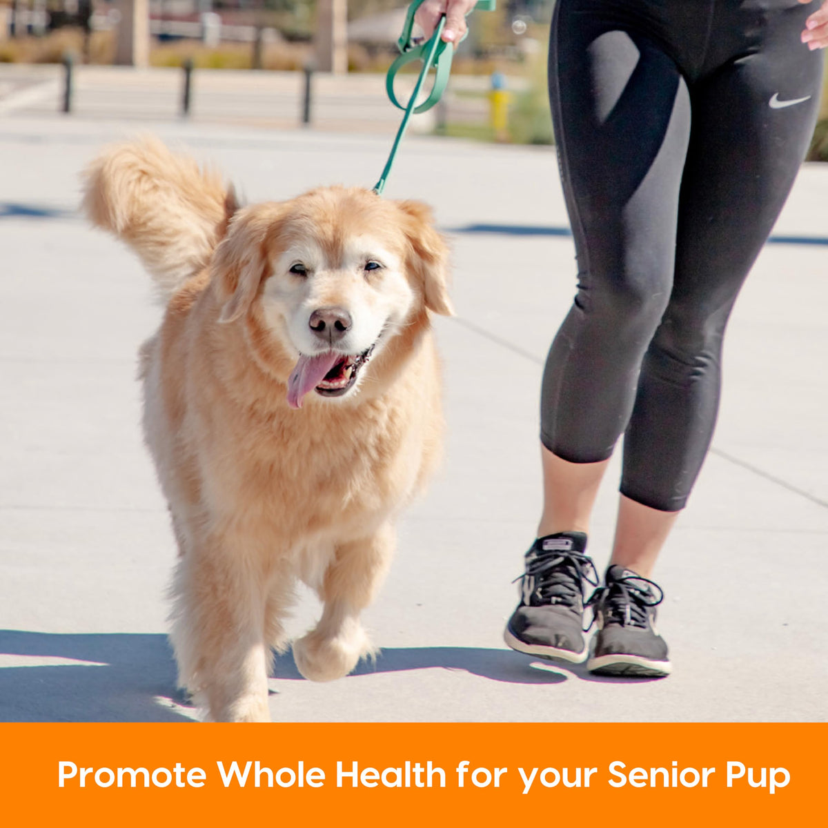 Senior Dogs Soft Chews 90 ct D3813