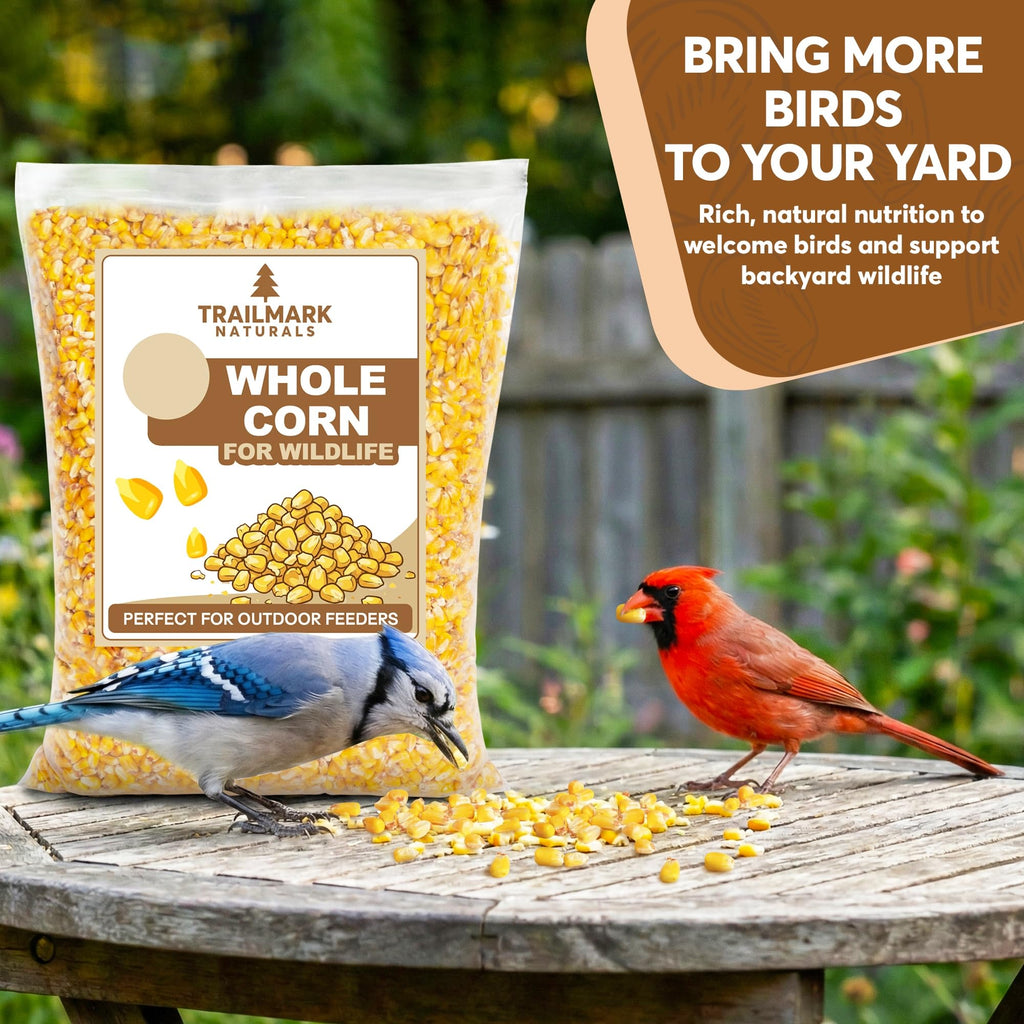 Whole Corn 20 LB Bird Seed & Wildlife Feed T47849