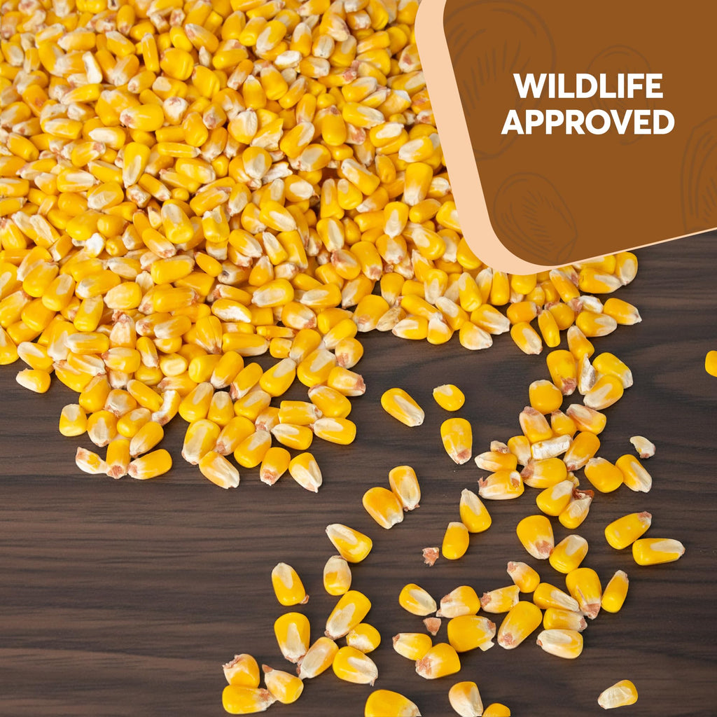 Whole Corn 20 LB Bird Seed & Wildlife Feed T47849
