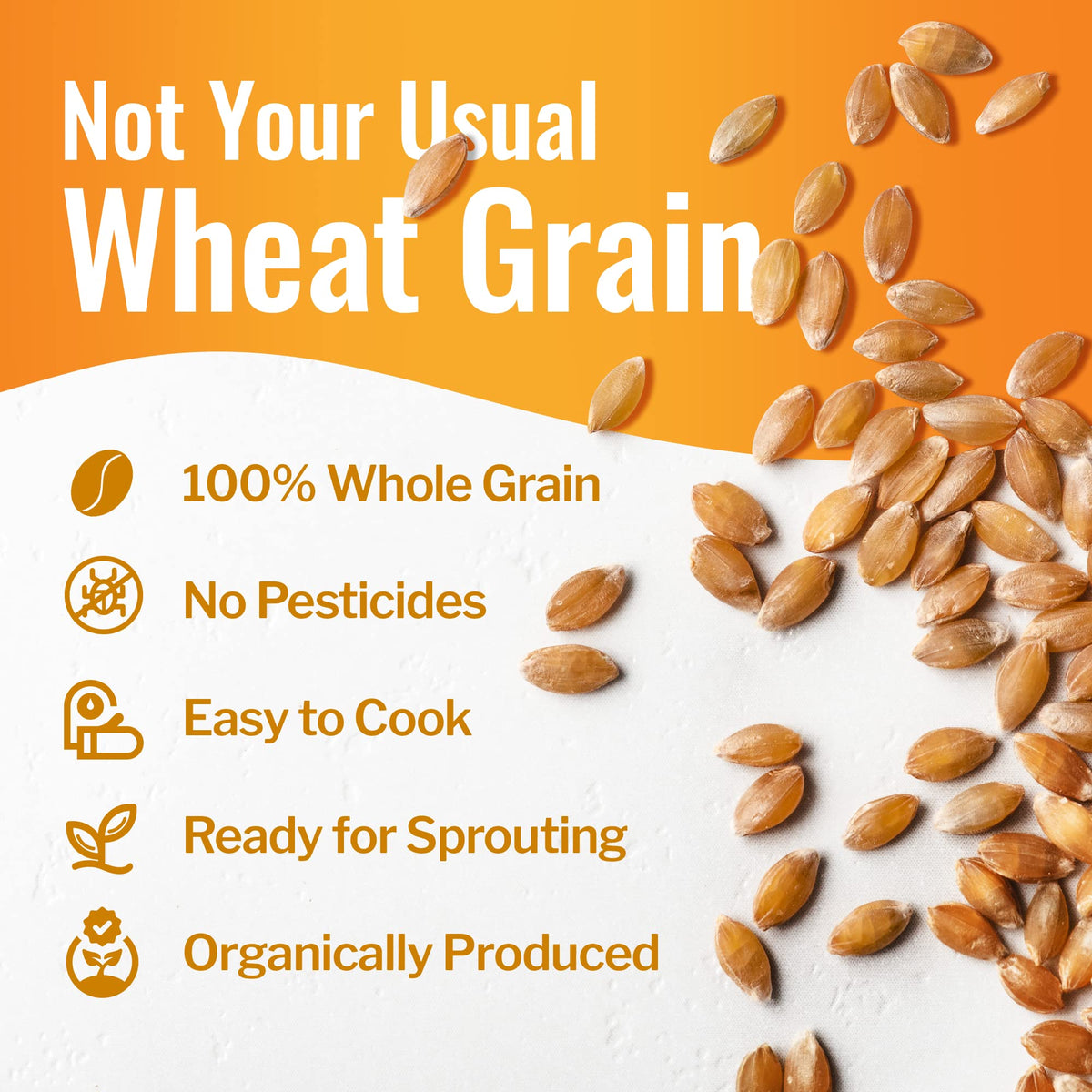 100% Organic Hard White Wheat Berries 43 lbs D292626