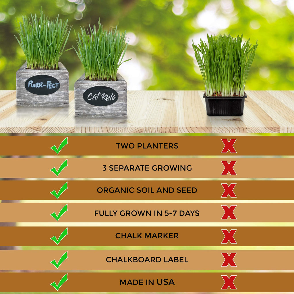 Organic Wheatgrass Seed & Soil Cat Grass Kit T709039