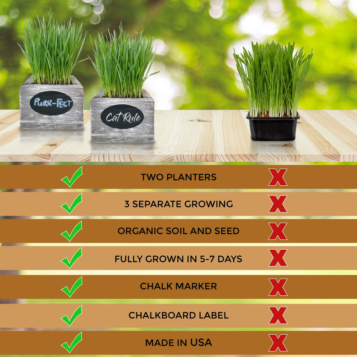Organic Wheatgrass Seed & Soil Cat Grass Kit T709039