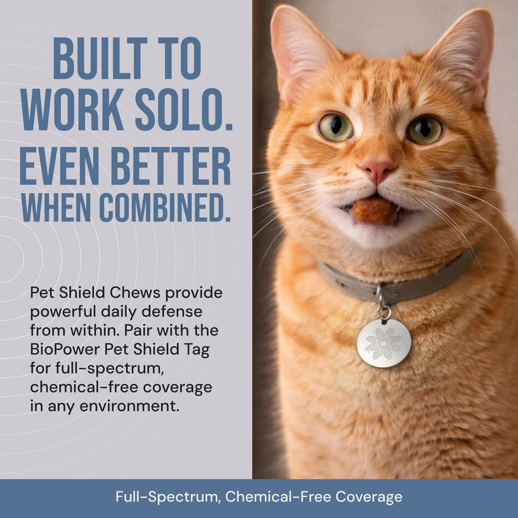 Natural Flea & Tick Prevention Soft Chews U17085