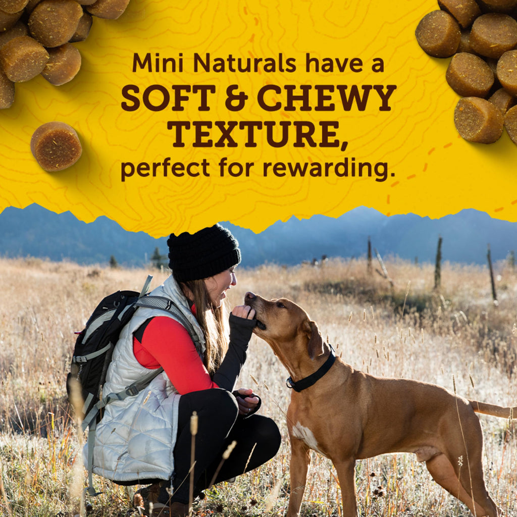 Real Peanut Butter Dog Training Treats 16 oz Z59448