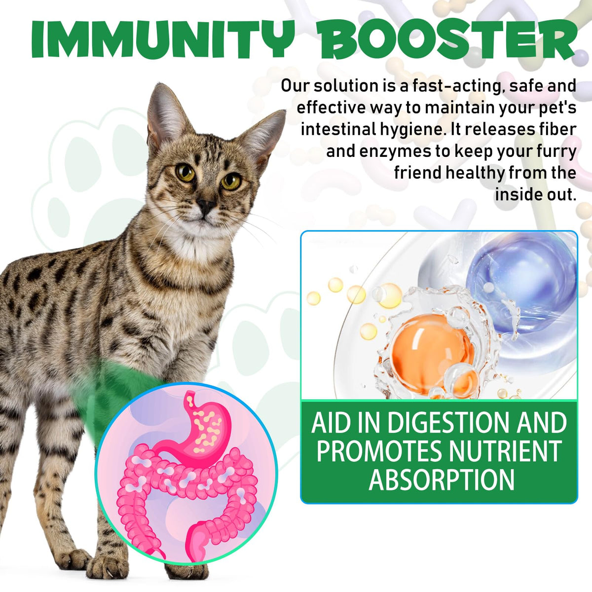 Probiotic Digestive Support for Cats R2757