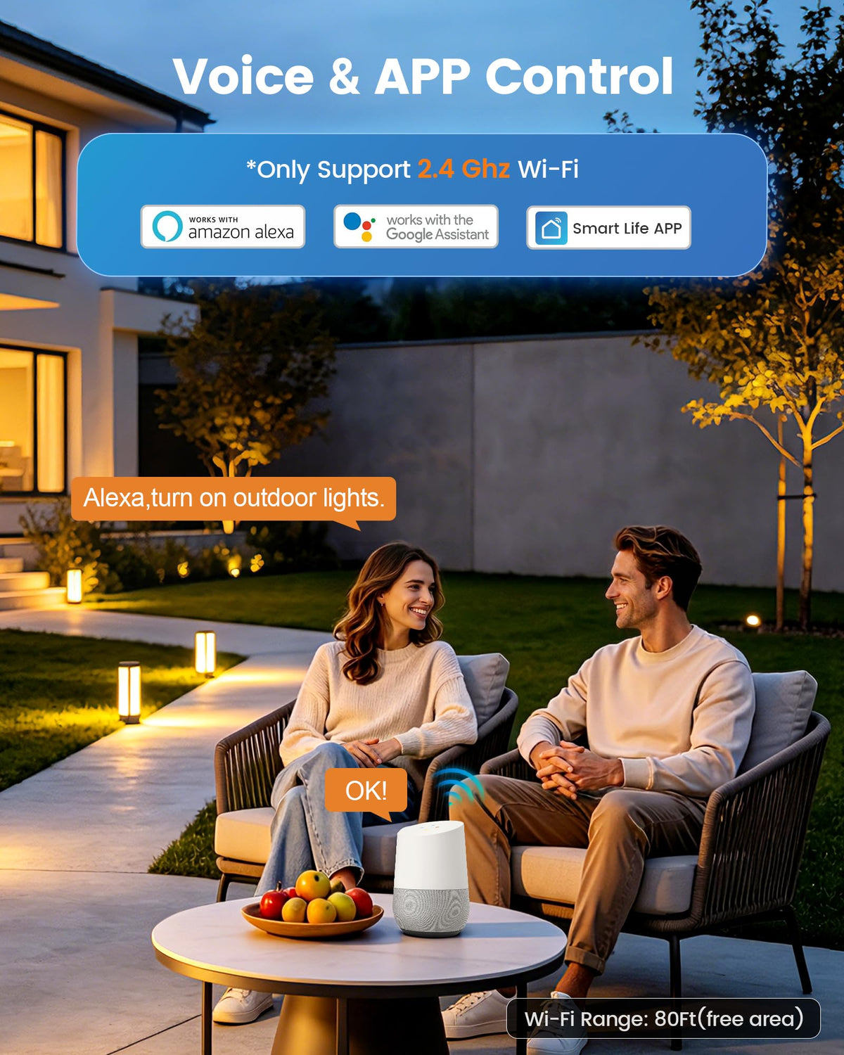 Wi-Fi Low Voltage Landscape Transformer with 2 Zones, 12V 15V AC D335