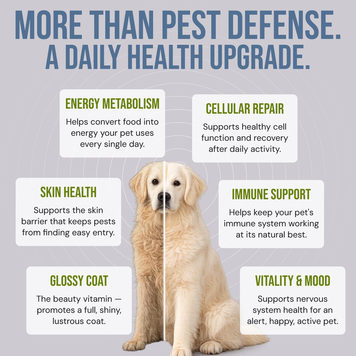 Natural Flea & Tick Prevention Soft Chews U17085