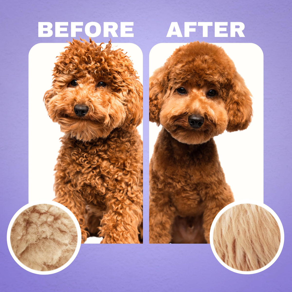 Dog Shampoo and Conditioner A605847