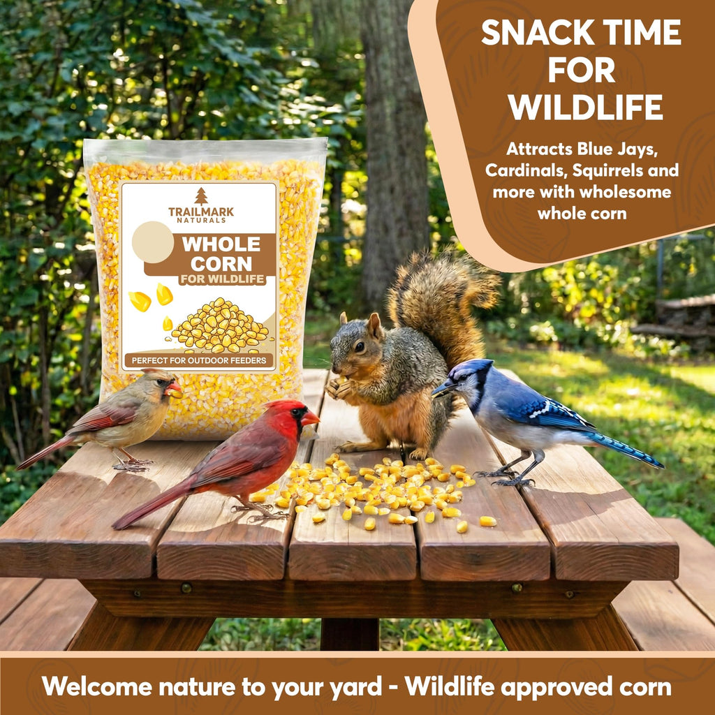 Whole Corn 20 LB Bird Seed & Wildlife Feed T47849