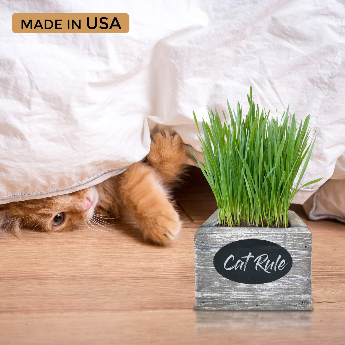 Organic Wheatgrass Seed & Soil Cat Grass Kit T709039